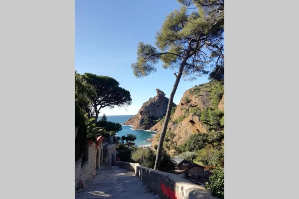 Le Repaire De La Cadiere A 5Mn Des Plages ! Saint-Cyr-sur-Mer Eksteriør bilde