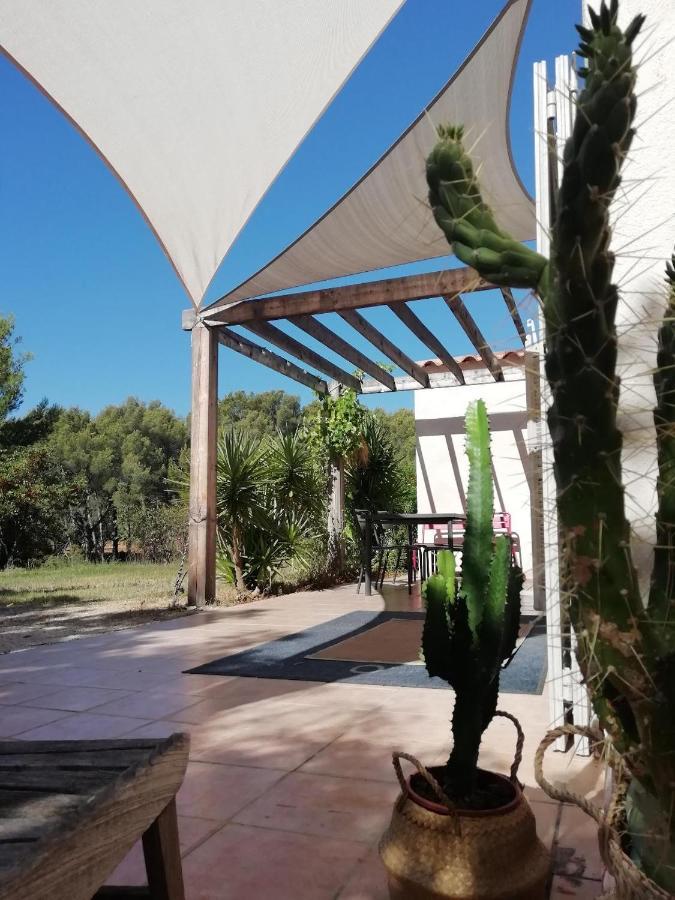 Le Repaire De La Cadiere A 5Mn Des Plages ! Saint-Cyr-sur-Mer Eksteriør bilde