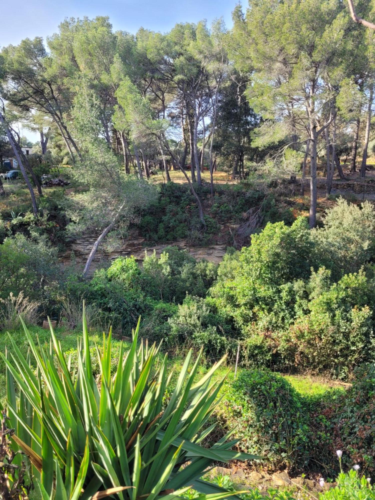 Le Repaire De La Cadiere A 5Mn Des Plages ! Saint-Cyr-sur-Mer Eksteriør bilde
